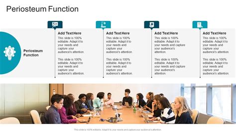 Periosteum Function In Powerpoint And Google Slides Cpb