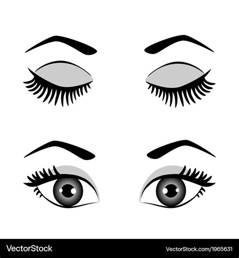 Silhouette eyes and eyebrow open and closed Vector Image