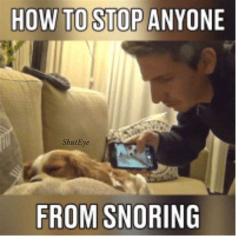 30 Funny Ways to Describe Snoring - Snoring Memes Collection