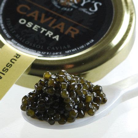 Nemo Caviar Server | Caviar Serving Dish | Buy Caviar Server Online