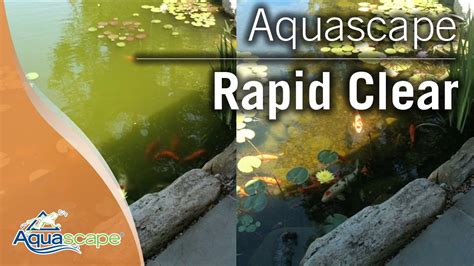 Clear Pond Water with Aquascape Rapid Clear - YouTube