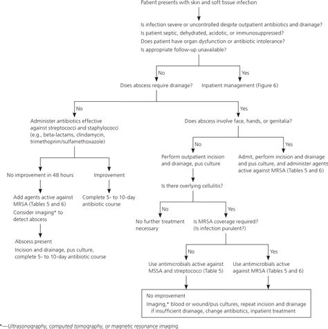 Oral Antibiotics For Skin Infections