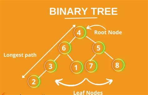 B* Tree in Data Structure: B+-Trees, B*-Trees : Hero Vired