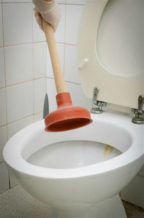 Plunging Clogged Toilet Backs Up Into Sink | ThriftyFun