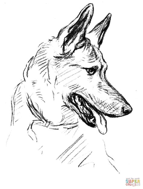 German Shepherd Dog Portrait coloring page | Free Printable Coloring Pages