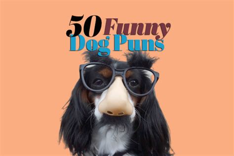 50 Funny Dog Puns That Are Paw-some (2024) - Parade Pets