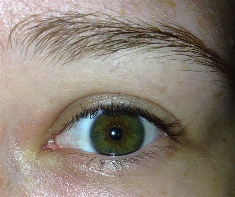 My green/brown eye : r/eyes