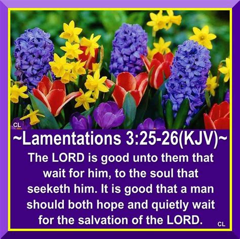 Lamentations 3:25-26 | Bible Verses KJV