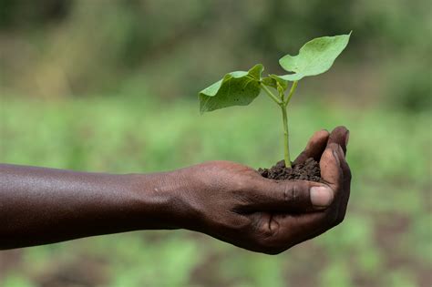 Using Big Data to Help Combat Malnutrition in Africa - Farming First