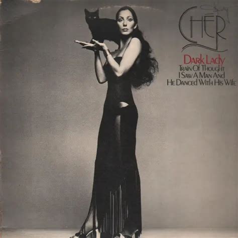 Cher Dark Lady Records, LPs, Vinyl and CDs - MusicStack