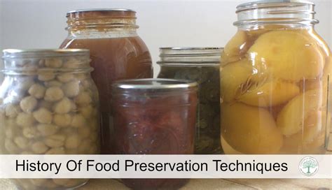 History On Food Preservation Techniques And Home Canning