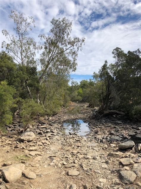 Palmer River Goldfields | Isolation, Desolation and Hardship | River ...