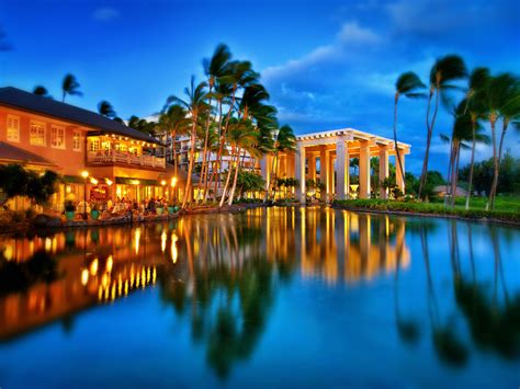 Hilton Waikoloa Village | Dolphin Quest