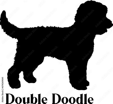 Double Doodle Dog silhouette dog breeds logo dog monogram logo dog face vector SVG PNG EPS Stock ...