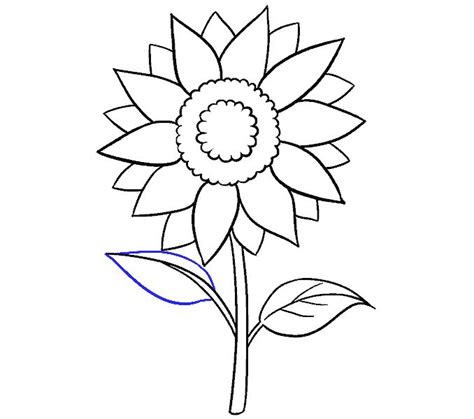 How to Draw a Sunflower - Really Easy Drawing Tutorial | Easy drawings, Drawing tutorial easy ...