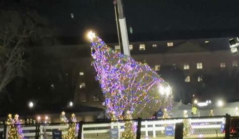 National Christmas Tree near the White House toppled by strong winds ahead of lighting ceremony ...