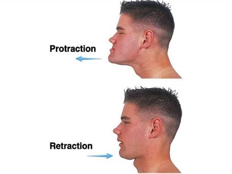 Protraction & retraction : special movement. Protraction (movement of a part of the body ...