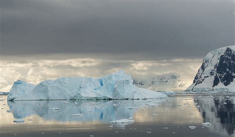 Antarctica Photography Tour by Darter Photography