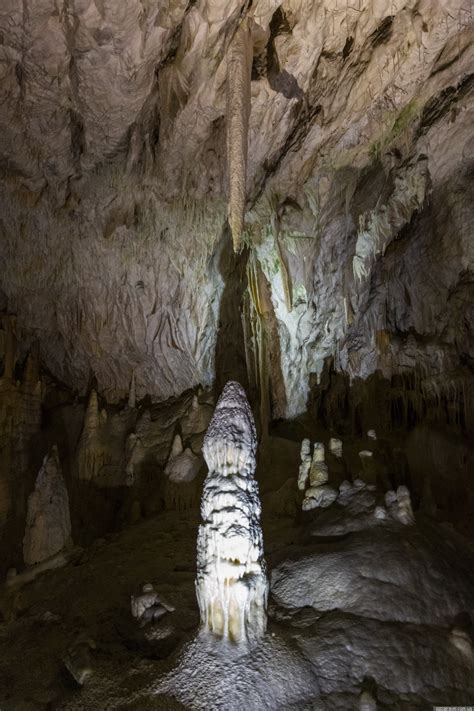 Postojnska Jama Cave - Slovenia - Blog about interesting places