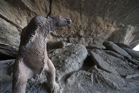 Mylodon Cave Natural Monument – Portraits of Place in the Arctic and ...