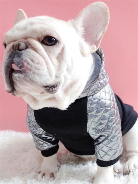 Pin em French Bulldog Clothes