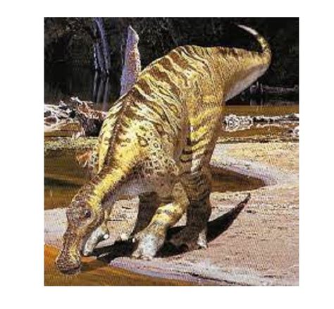 Anatotitan dinosaurs , facts | pictures -Anatotitan dinosaurs habitat.