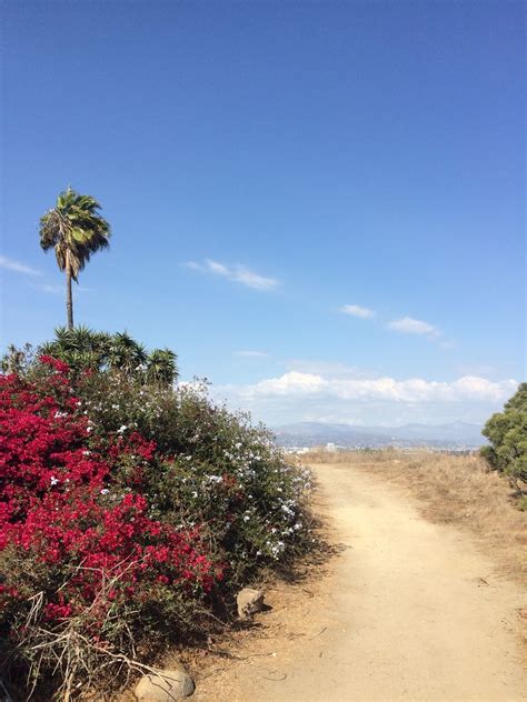 Baldwin Hills Scenic Overlook Trail - California | AllTrails