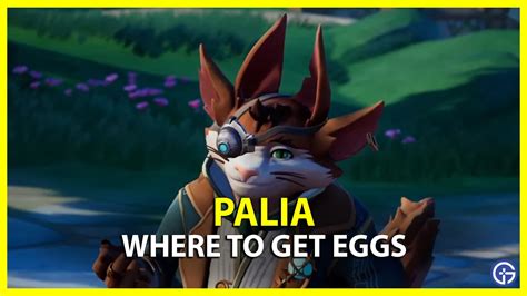 Palia: Where To Get Eggs - Gamer Tweak