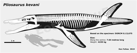 Explore the Best Pliosaurus Art | DeviantArt