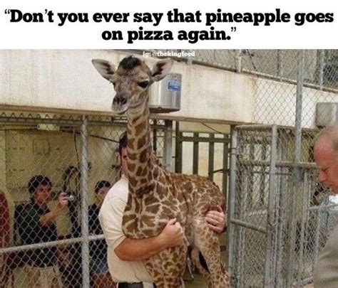 7 Giraffe Memes That Will Totally Make You LOL - King Feed | Funny animals, Memes, Funny pictures