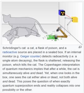 Schrodinger's Cat Experiment - Quantum Physics Lady