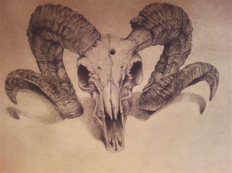 Ram Skull by backhendl on DeviantArt