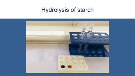 Hydrolysis of starch - YouTube