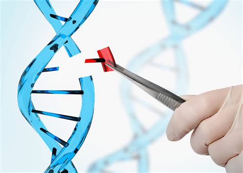 10 things to know about genetic engineering - Engineers Network