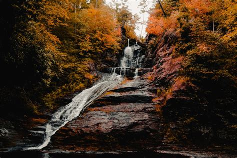 Discover These Pocono Waterfall Hikes | Pocono Mountain Rentals