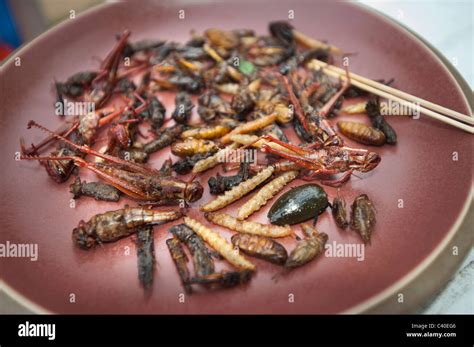 insect meal food fried on plate thailand thai thaifood snack insects ...