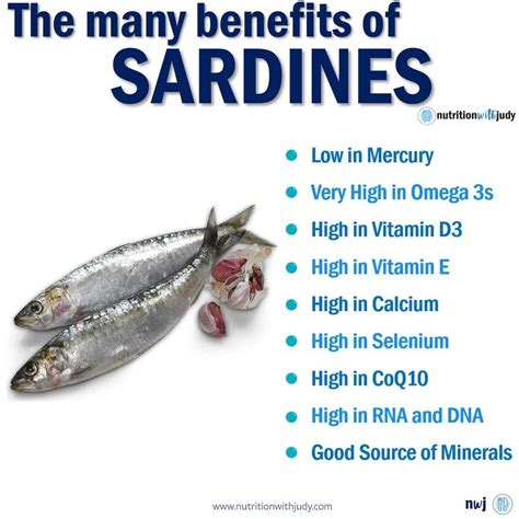 Microblog: The Many Benefits of Sardines - Nutrition With Judy