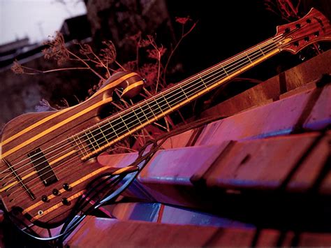 This is the Les Claypool 6-string fretless Rainbow Bass.