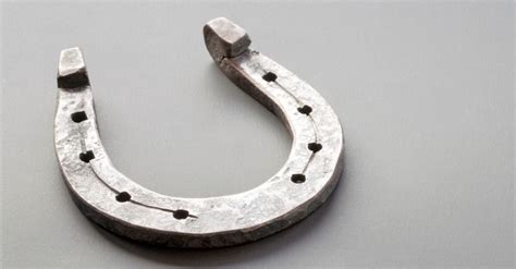 6 Types of Horseshoes & Materials They're Made From