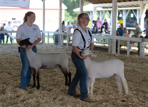 County fairs are feeling the effects of coronavirus outbreak - nj.com