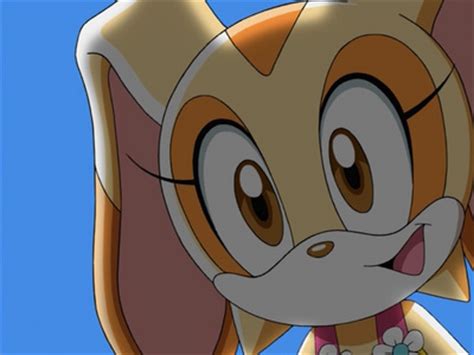 how many times did cream where her bathing suit in sonic x? - The Cream the Rabbit Trivia Quiz ...