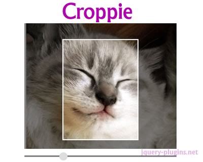 Croppie – jQuery Image Cropper | jQuery Plugins