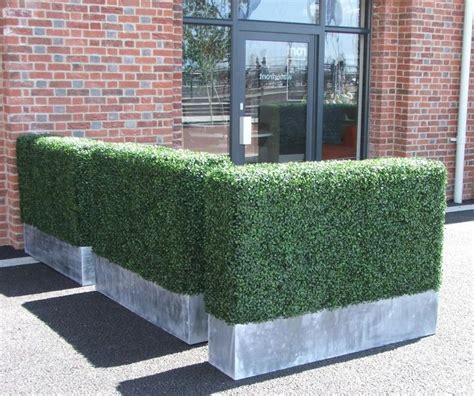 Artificial Boxwood Hedge | artificial-forest | Hedges, Garden hedges ...