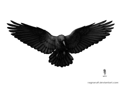 25+ bästa Crow tattoo meaning idéerna på Pinterest | Ravens, Ravn ...