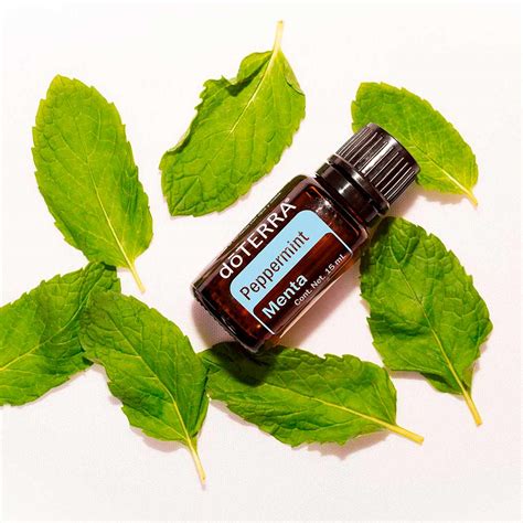 Menta - Aceite Esencial dōTERRA - 15ml | Alejandra Surribas