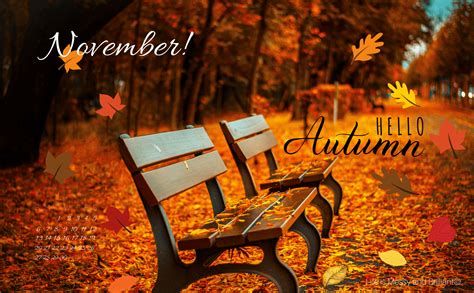 November Fall Wallpapers - Top Free November Fall Backgrounds ...