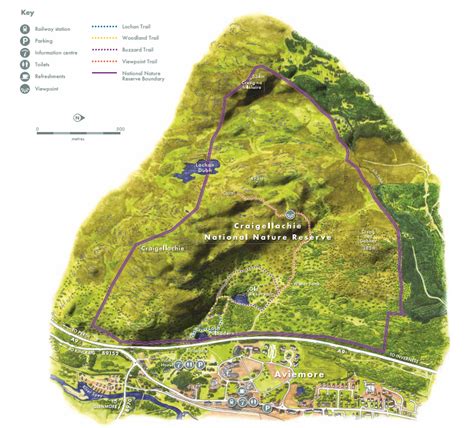 Craigellachie NNR - Visiting the reserve leaflet | NatureScot