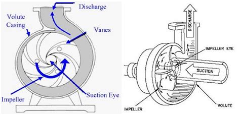 How to Identify Impeller Wear and Failure in Centrifugal Pumps