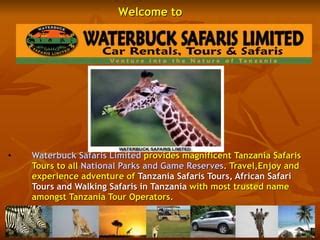 waterbucksafaris | PPT