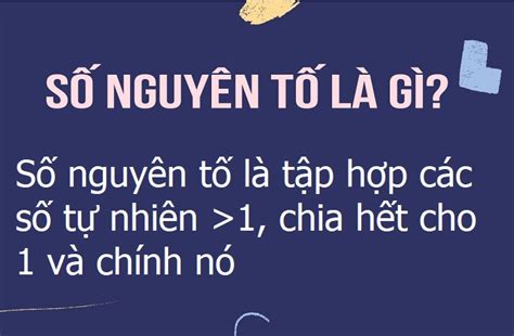 Số nguyên tố là gì? Ví dụ minh họa, tính chất, bảng số nguyên tố - v1000